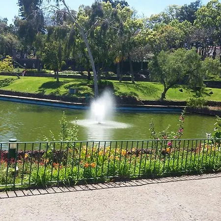 Ilheus 1 * Funchal (Madeira)